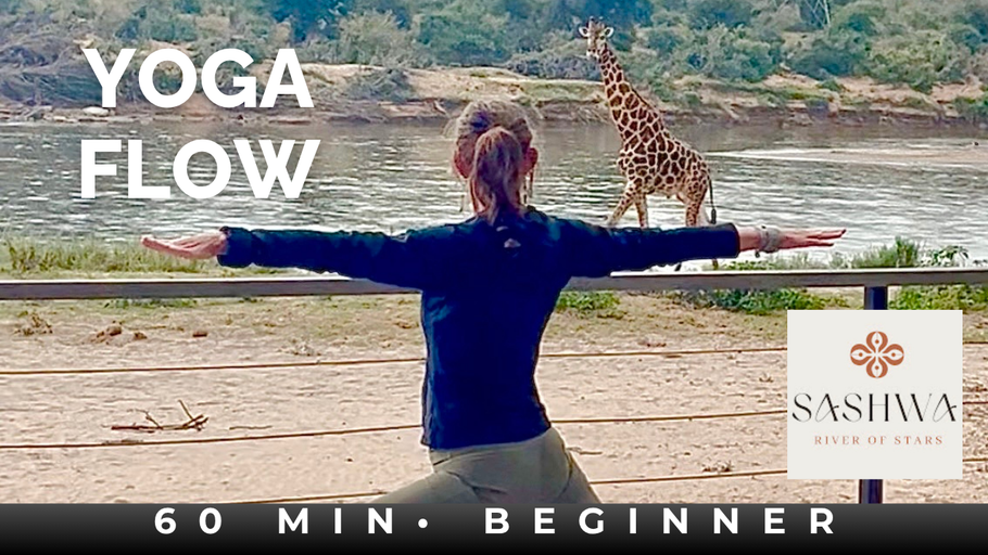 BEGINNER YOGA FLOW - 60 MIN